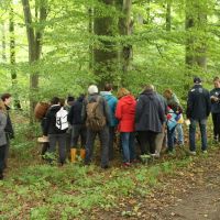 Am Wegesrand war bereits einiges zu entdecken