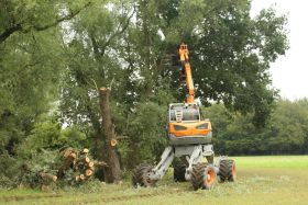 Der Schreitbagger mit Kettensäge von "Menzi Muck" im Einsatz